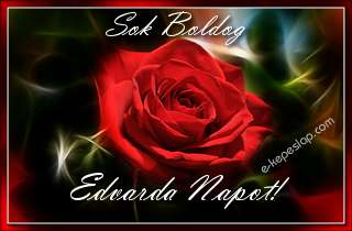 Sejtelmes piros r�zsa n�vre sz�l� k�peslap, Edvarda n�vnapra, k�sz�nt� felirattal.