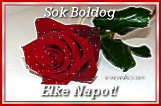 Elke névre szóló képeslap, csillogó vörös rózsaszállal és köszöntő felirattal.
