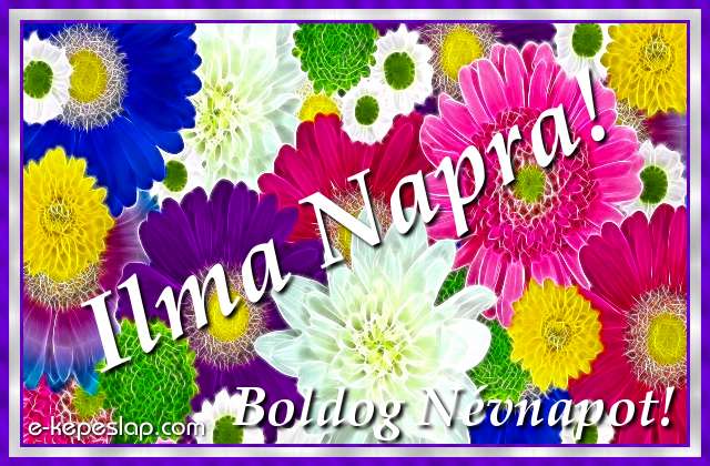 Sz�nes, vir�gmint�s k�peslap n�vre sz�l� k�sz�nt� felirattal, Ilma n�vnapra.