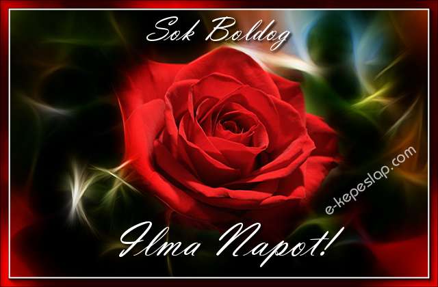 Sejtelmes piros r�zsa n�vre sz�l� k�peslap, Ilma n�vnapra, k�sz�nt� felirattal.