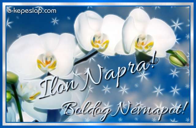 Kpeslap Ilon nvnapra