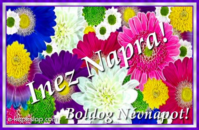 Sz�nes, vir�gmint�s k�peslap n�vre sz�l� k�sz�nt� felirattal, Inez n�vnapra.