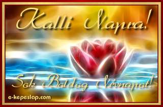 Kalli n�vre sz�l� k�peslap, Kalli n�vnapra, gy�ny�r� absztrakt v�zililiom k�ppel, boldog n�vnapot felirattal, arany kerettel.