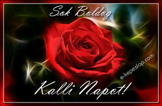 Sejtelmes piros r�zsa n�vre sz�l� k�peslap, Kalli n�vnapra, k�sz�nt� felirattal.