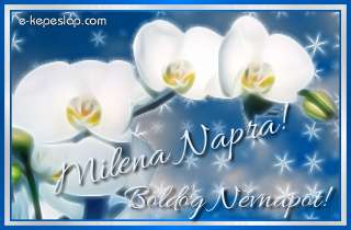 Milena nvre szl kpeslapok