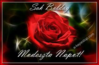 Modeszta nvre szl kpeslapok