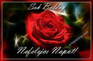 Nefelejcs nvre szl kpeslapok