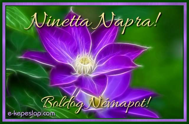 K�peslap Ninetta n�vnapra, k�l�nleges f�nyhat�s� lila vir�ggal, boldog n�vnapot felirattal.