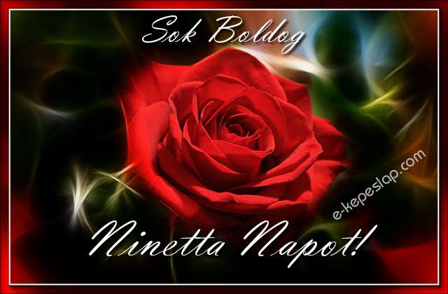 Sejtelmes piros r�zsa n�vre sz�l� k�peslap, Ninetta n�vnapra, k�sz�nt� felirattal.