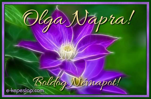 Kpeslap Olga nvnapra, klnleges fnyhats lila virggal, boldog nvnapot felirattal.