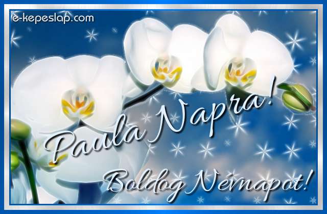 Nvnapi kpeslap Paula nvnapra fehr orchideval s szemlyre szl ksznt felirattal.