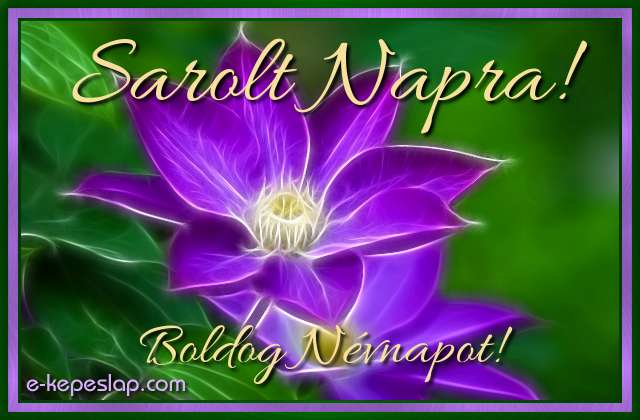K�peslap Sarolt n�vnapra, k�l�nleges f�nyhat�s� lila vir�ggal, boldog n�vnapot felirattal.