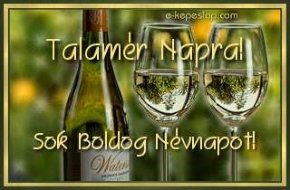 K�sz�ntsd fel Talam�r nev� f�rfi ismer�s�d, hangulatos boros n�vre sz�l� k�peslappal.