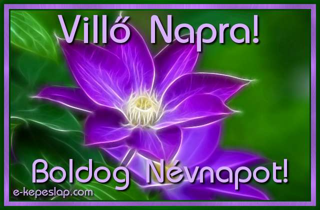 Vill nvre szl kpeslap