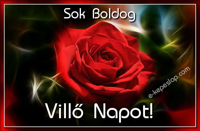 Nvnapi kp Vill napra