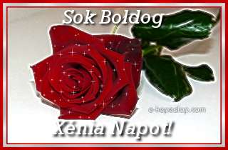 Xnia nvre szl kpeslap, csillog vrs rzsaszllal s ksznt felirattal.
