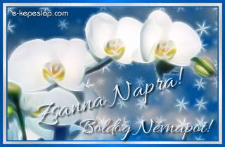 Nvnapi kpeslap Zsanna nvnapra fehr orchideval s szemlyre szl ksznt felirattal.